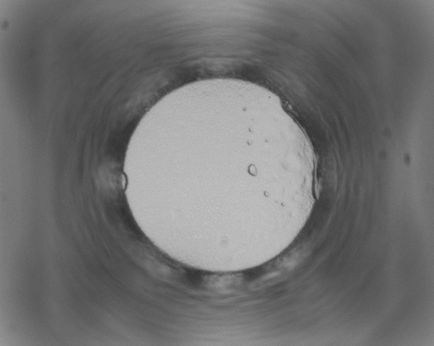 X0000077280135200611101327