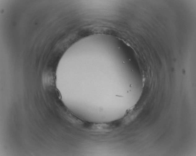 X0000077280137200611101327