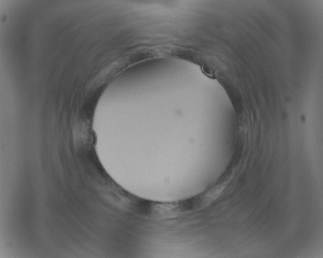 X0000077280139200611101327