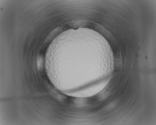 X0000077280142200611101327