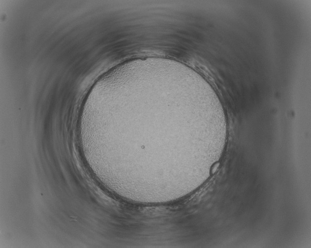 X0000077280145200611101326