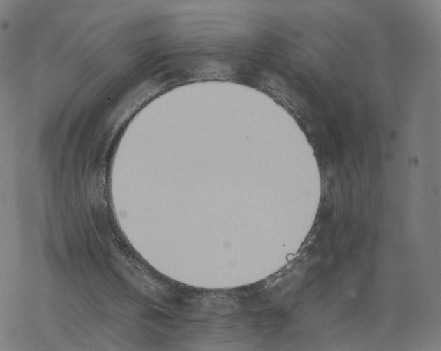 X0000077280146200611101326