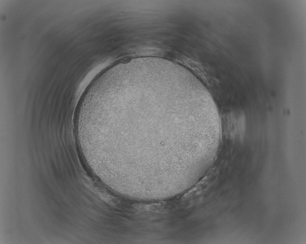 X0000077280147200611101326