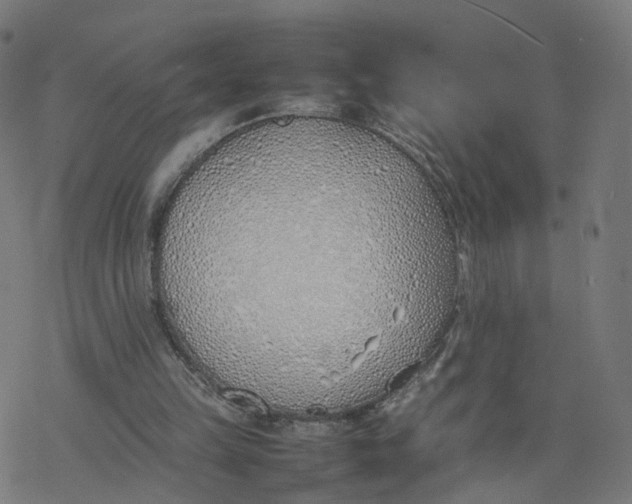 X0000077280149200611101326