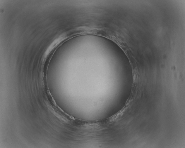 X0000077280150200611101326