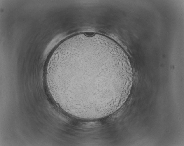 X0000077280151200611101326