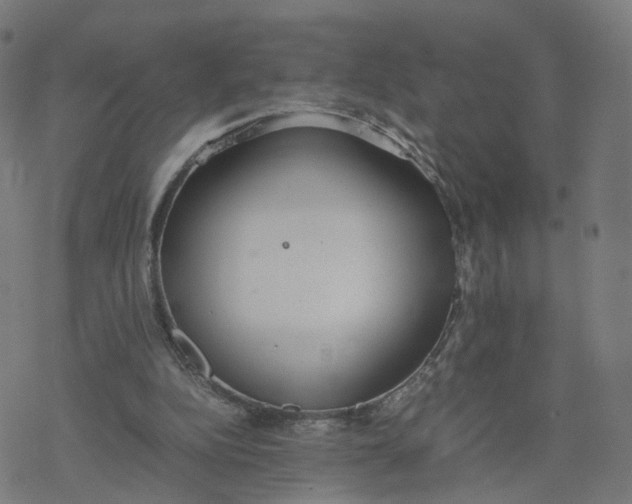 X0000077280152200611101326