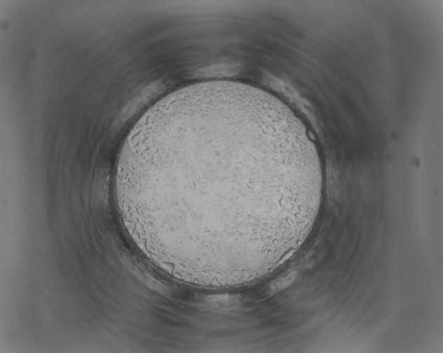 X0000077280153200611101326