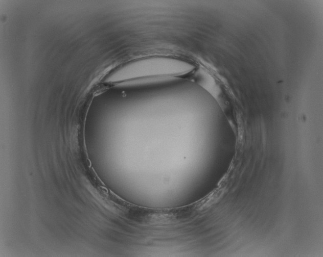 X0000077280154200611101326