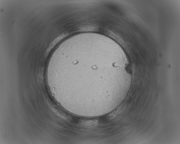 X0000077280155200611101326