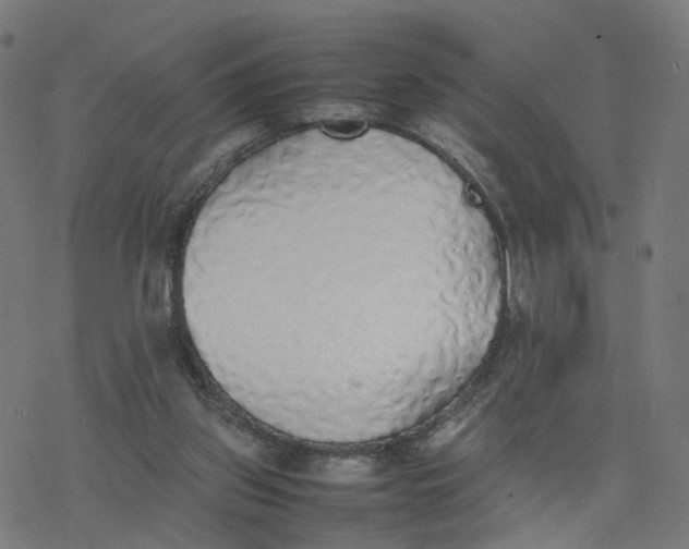 X0000077280157200611101326