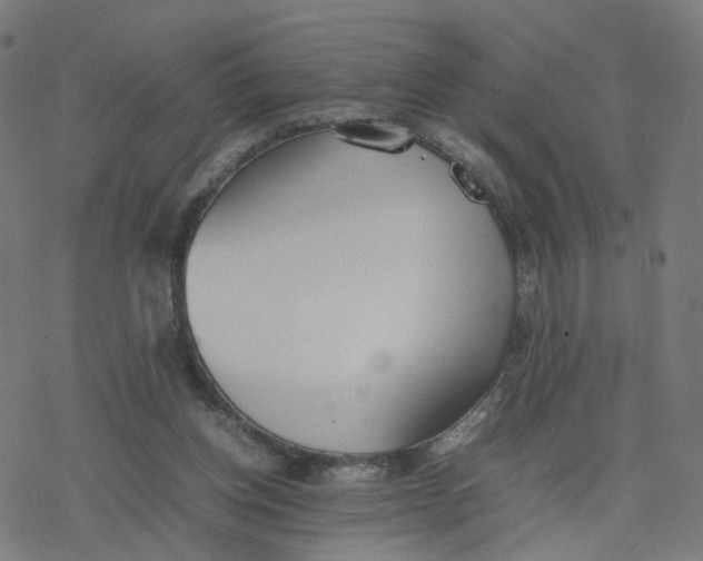 X0000077280158200611101326