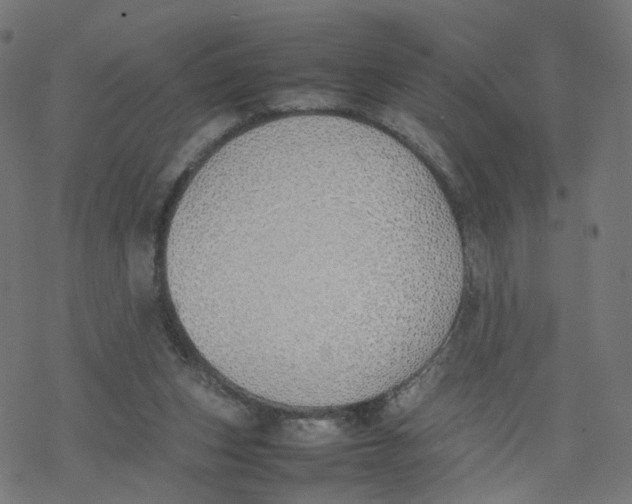 X0000077280159200611101327