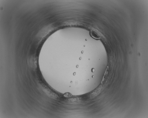 X0000077280160200611101327