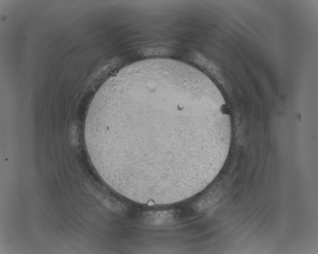 X0000077280161200611101327