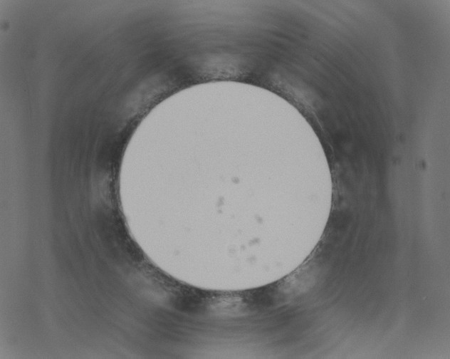 X0000077280162200611101327