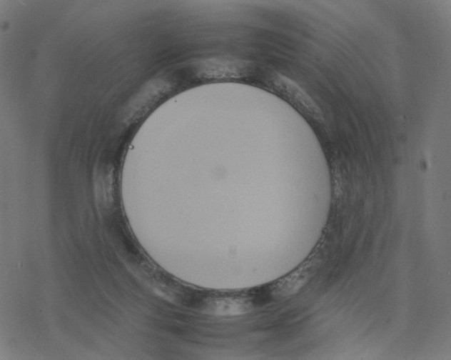 X0000077280163200611101327