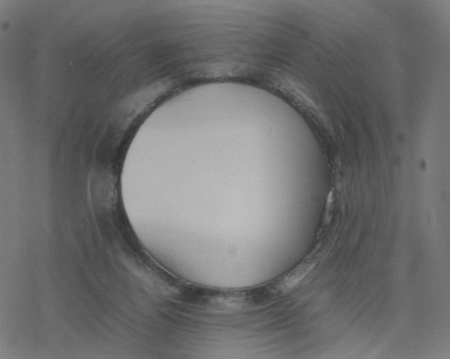 X0000077280164200611101327