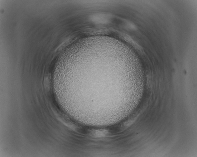 X0000077280165200611101327