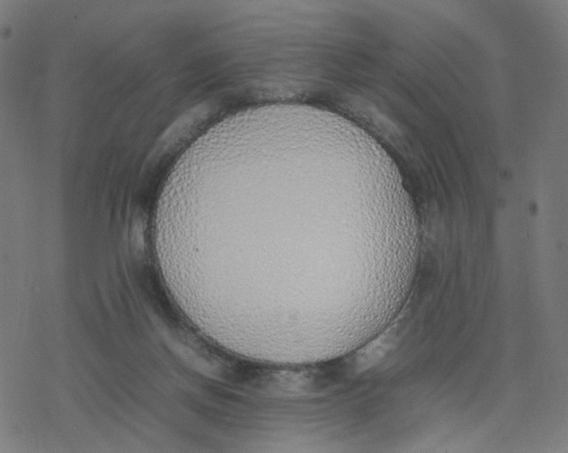 X0000077280166200611101327