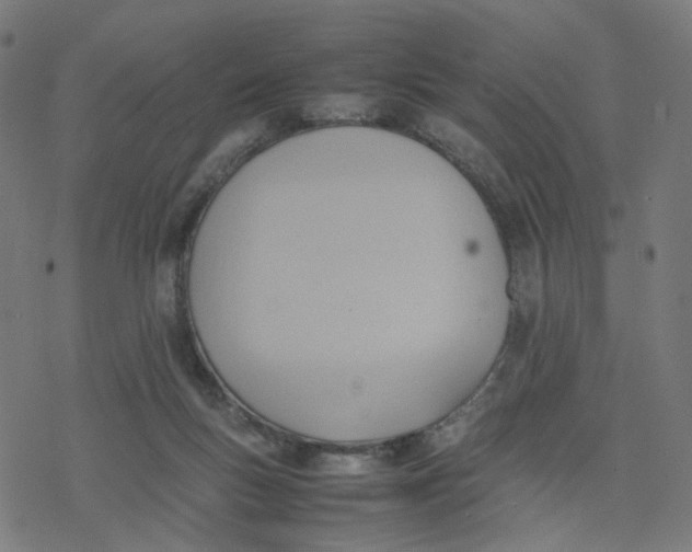 X0000077280167200611101327