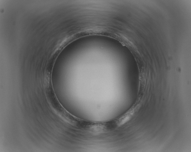 X0000077280168200611101327