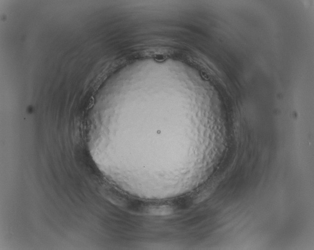 X0000077280169200611101327