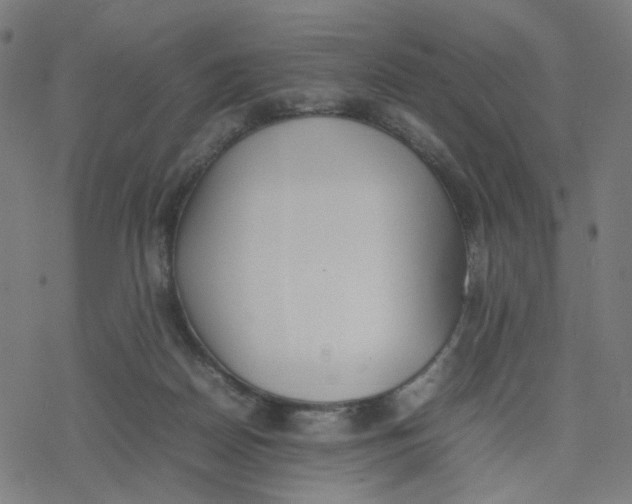 X0000077280170200611101327