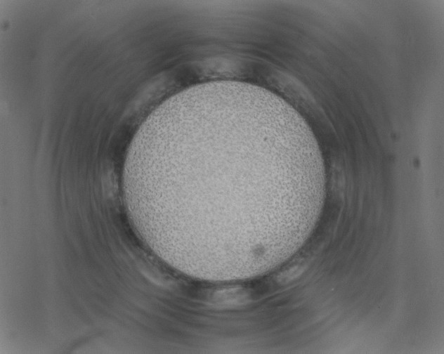 X0000077280173200611101327