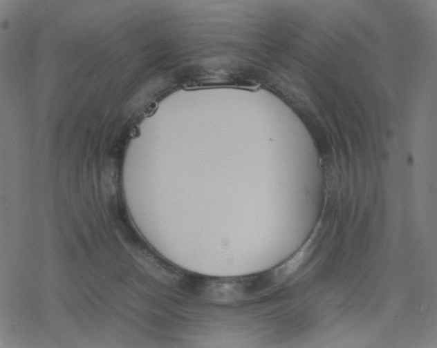 X0000077280174200611101327