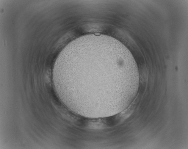 X0000077280175200611101327