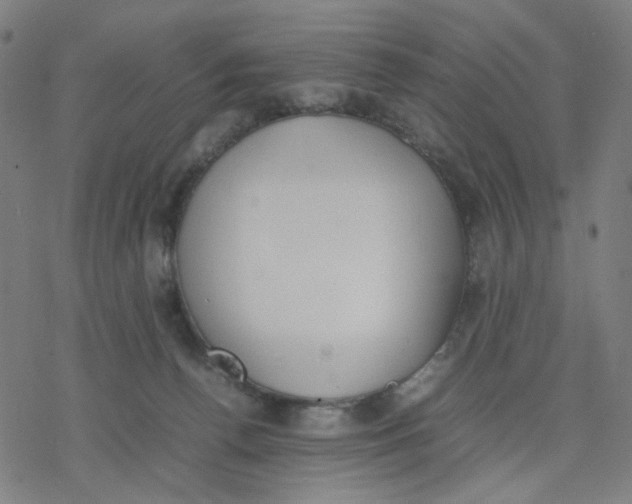 X0000077280176200611101327