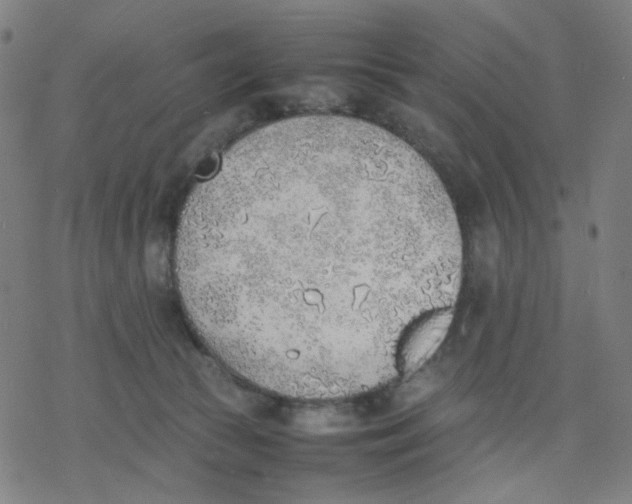 X0000077280177200611101327