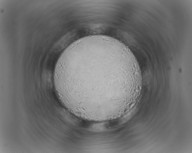 X0000077280178200611101327