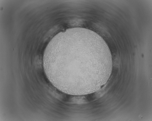 X0000077280179200611101327