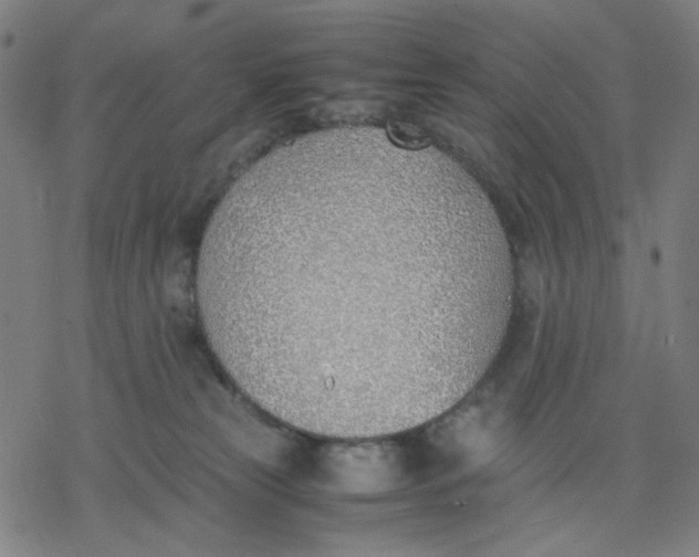 X0000077280181200611101327