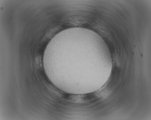 X0000077280182200611101327