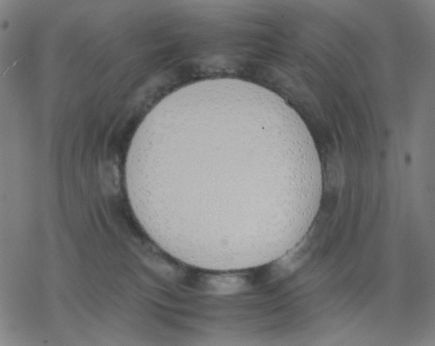 X0000077280183200611101327