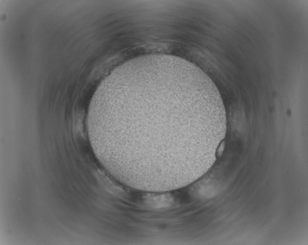 X0000077280185200611101327