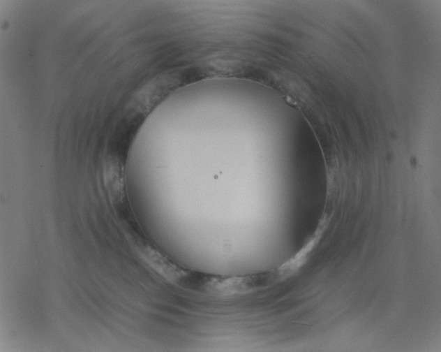 X0000077280186200611101327