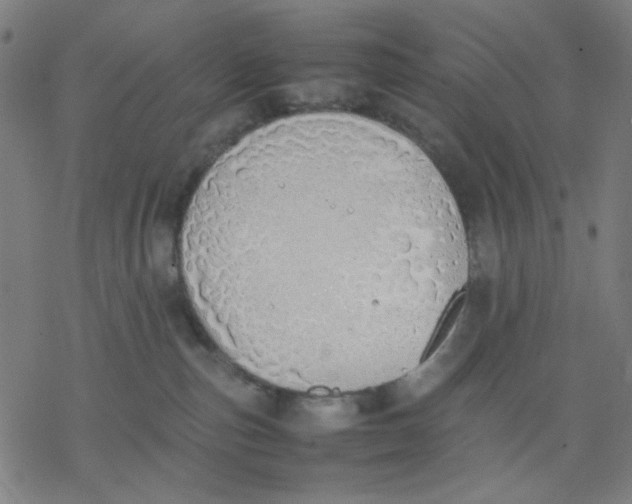 X0000077280187200611101327