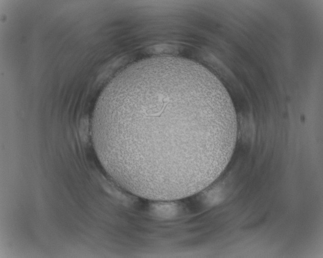 X0000077280189200611101327