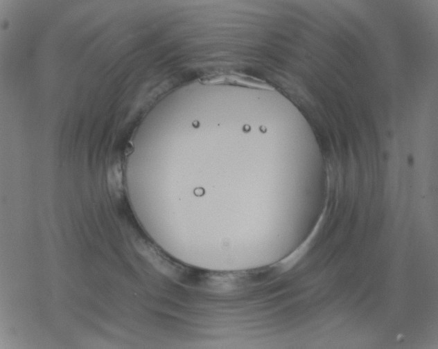 X0000077280190200611101327