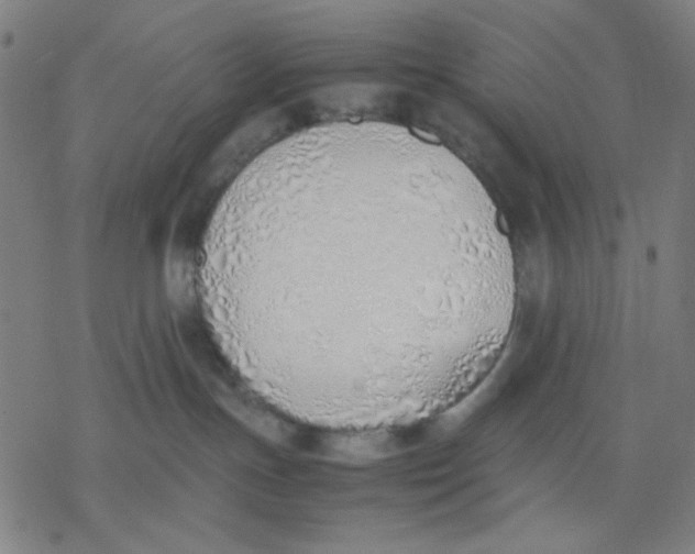 X0000077280191200611101327