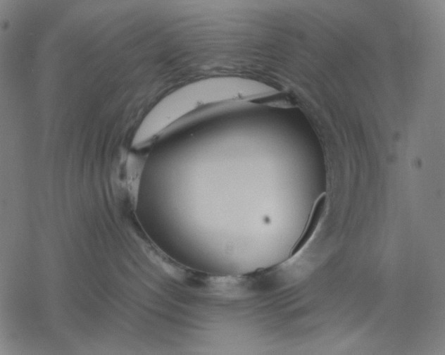 X0000077280192200611101327