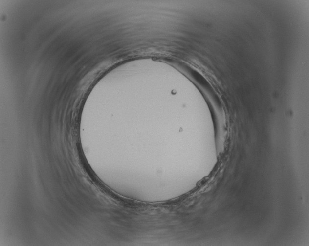 X0000077280193200611101326