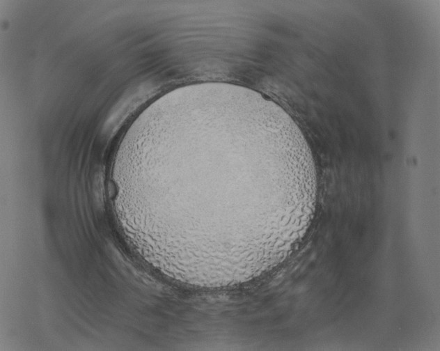 X0000077280194200611101326