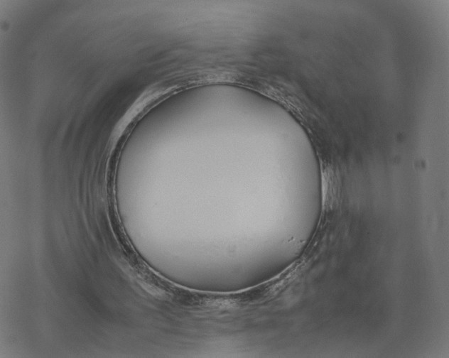 X0000077280195200611101326