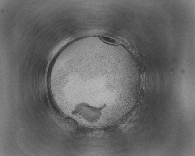 X0000077280196200611101326