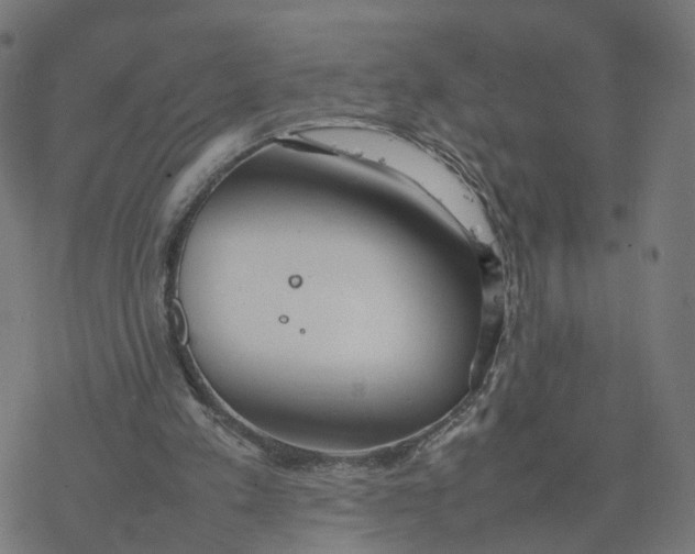 X0000077280197200611101326